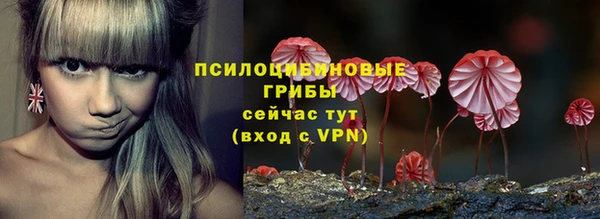 spice Баксан