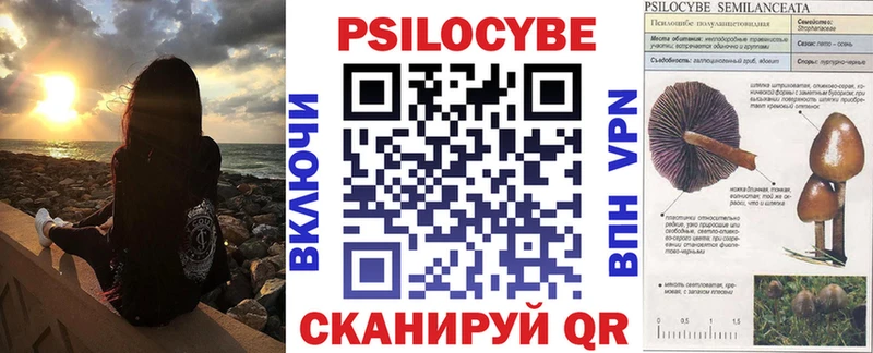 Купить  Бородино  Галлюциногенные грибы GOLDEN TEACHER 