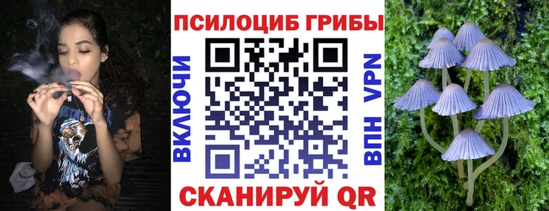 Галлюциногенные грибы Cubensis Бородино